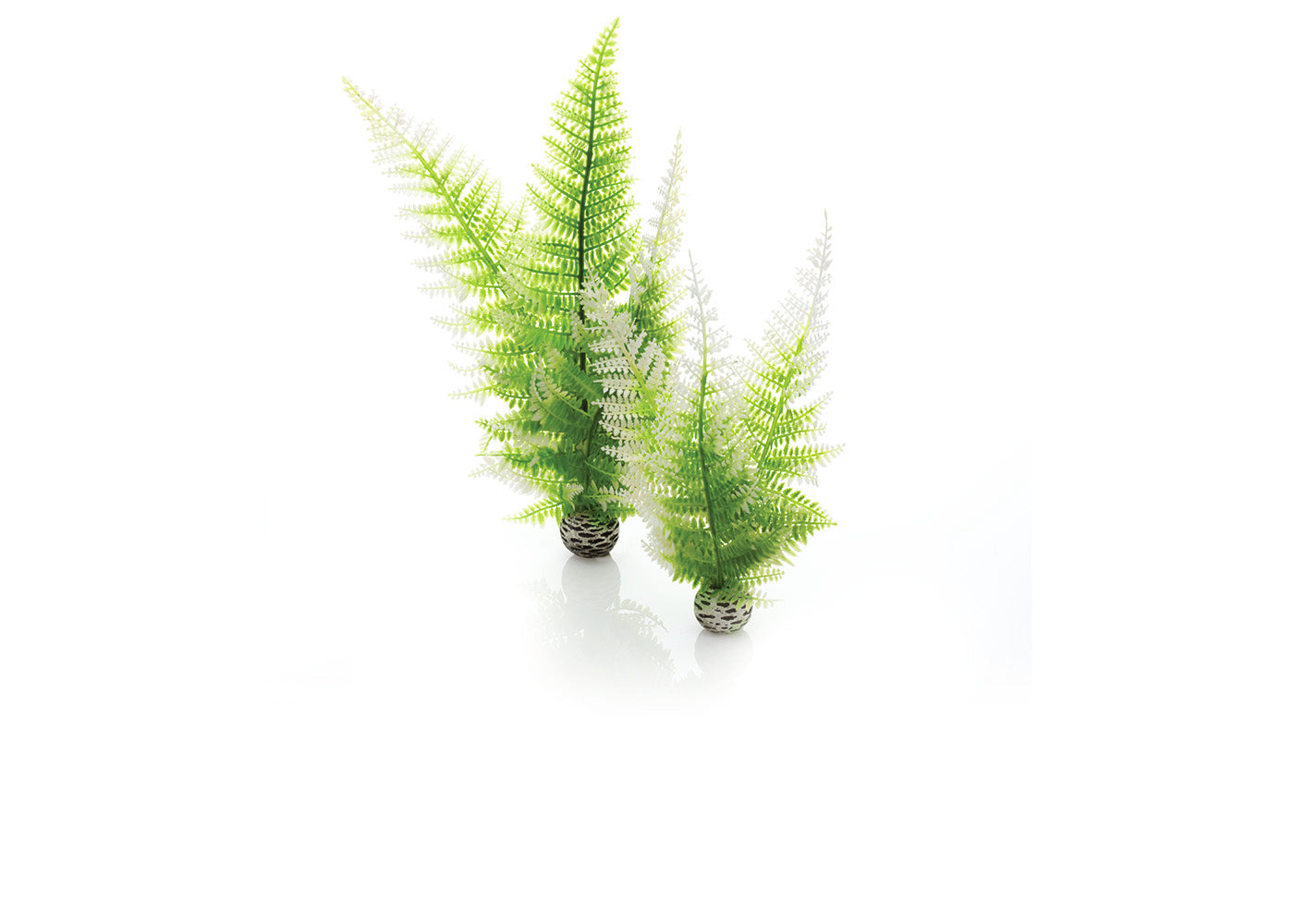 biOrb Winter Fern (2 Set)