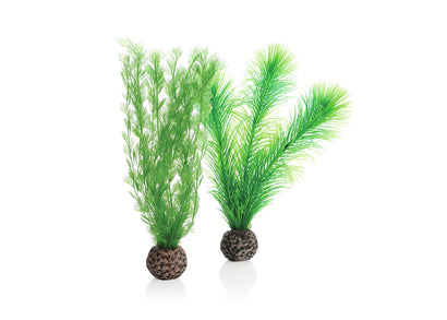 biOrb Feather Fern Set Green