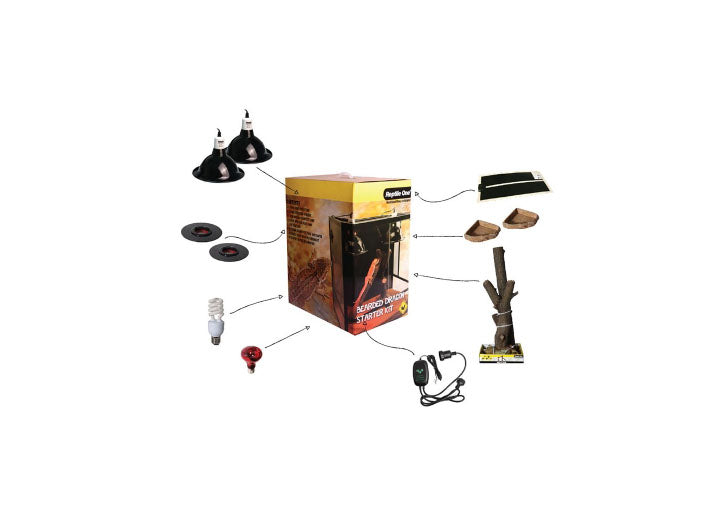 Bearded Dragon Starter Kit Accessory Pack In A Box