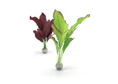 biOrb Silk Plant Set