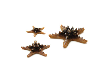 biOrb Sea Star - 3 Set