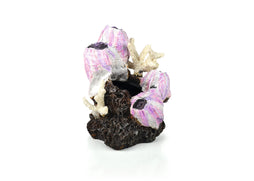 biOrb Barnacle Ornament Pink