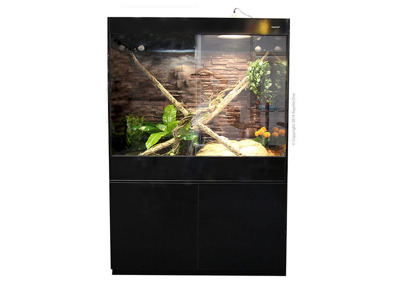 Reptile one cabinet on sale