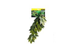 Reptile One Varigated Ivy Cascading Plant Green