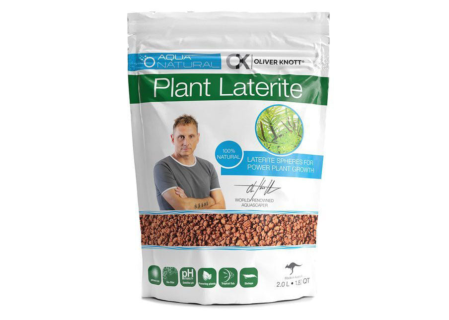 Oliver Knott Plant Laterite 2L