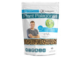 Oliver Knott Plant Palagonite 2L
