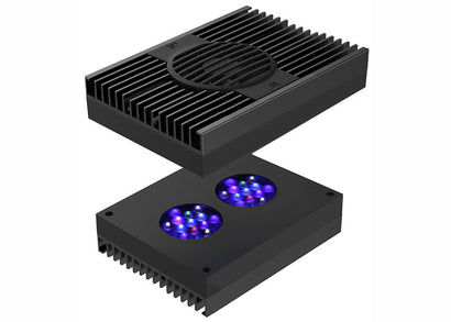 Aqua Illumination Hydra 32 Black