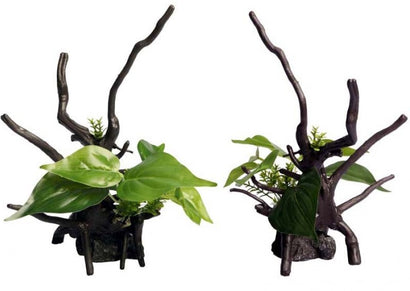 Aqua One Ecoscape Devils Ivy Driftwood Green