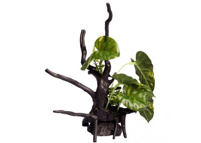 Aqua One Ecoscape Monstera Driftwood Green