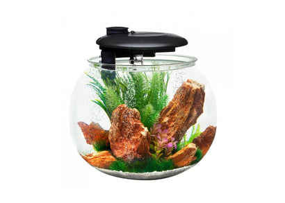 Aqua Sphere 360 Circular Aquarium 38L/53L/91L Fish Tank