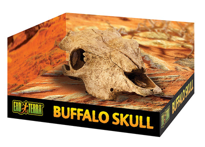 Exo Terra Buffalo Skull
