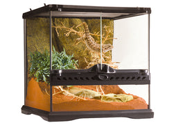 Exo Terra Terrarium