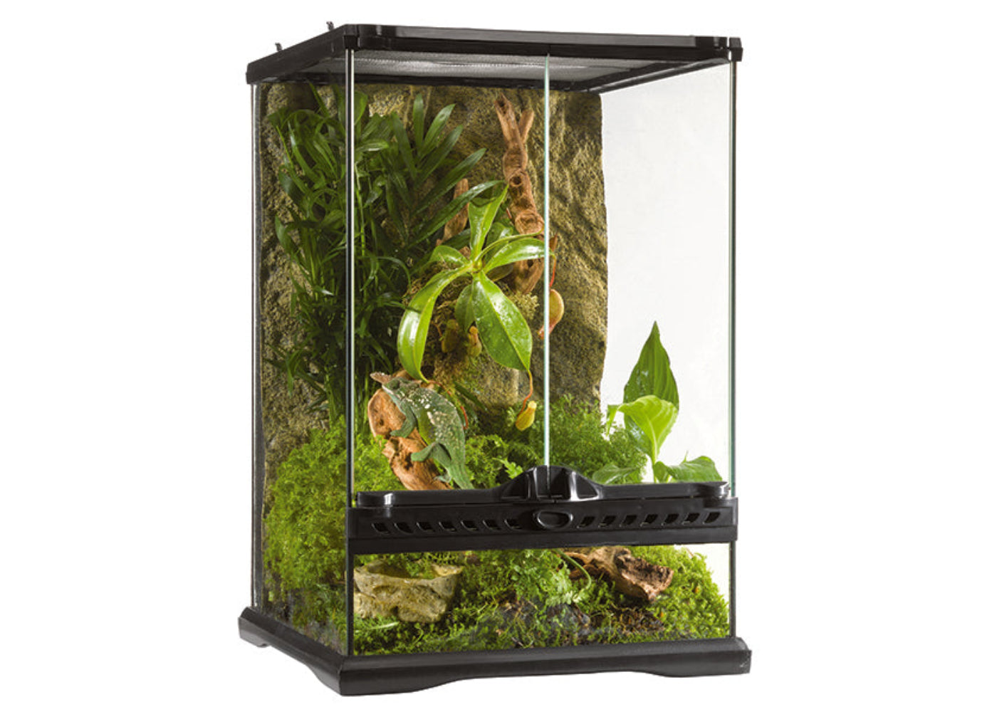 Exo Terra glass terrarium 30 x 30 x 45cm mini tall reptile enclosure with front doors and mesh top