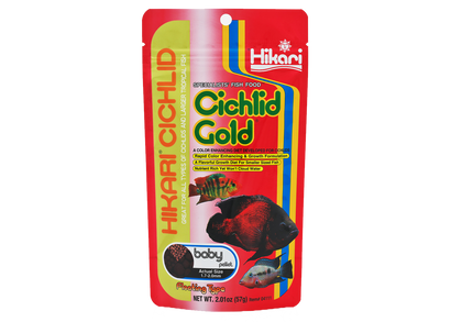 Hikari Cichlid Gold Baby