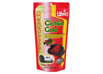 Hikari Cichlid Gold Mini