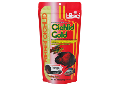 Hikari Cichlid Gold Large