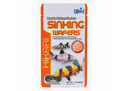 HIKARI Cichlid Staple Medium 250 g - Nourriture cichlidés aquarium