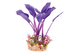Kazoo Silk Plant Thin Leaf Purple