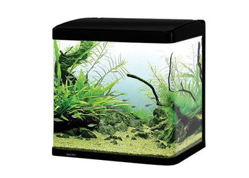 Aqua One LifeStyle 52 Complete Glass Aquarium 51cm 52L Gloss Black