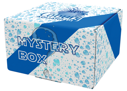 Tropical Plant Mystery Box