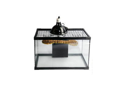 Reptile One Turtle Nursery Kit glass tank with mesh lid, UVB lamp and floating basking dock