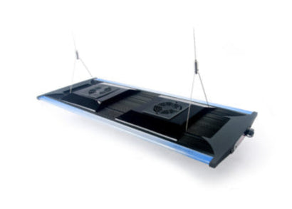 Zetlight QMaven 200W slim black LED aquarium light fixture suspended on hanging wires