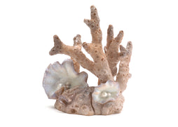 biOrb Coral Ornament Samuel Baker branching coral aquarium sculpture with opalescent shells