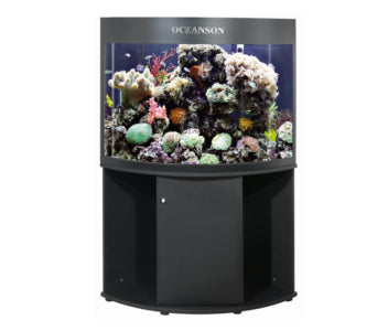 Oceanson GHH8800 - 800cm Curved Face Tall Aquarium and Base