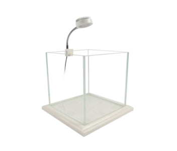 Zetlight Mini White/Blue 3w LED - 12000K