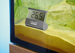 Oase Digital thermometer