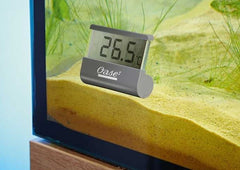 OASE Digital thermometer
