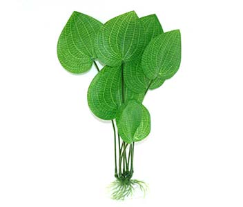 Aqua Dekore Radicans Swordplant Silk Plant, aquarium life