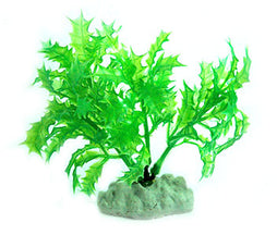 AquarWorld Green Holly