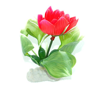 AquarWorld Pink Lily