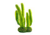Reptile One Euphorbia Esitrea Cactus - discontinued