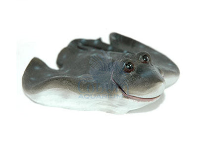 Aqua One Air-Operated Manta-Ray Ornament U-461 16