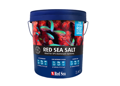 Red Sea Salt