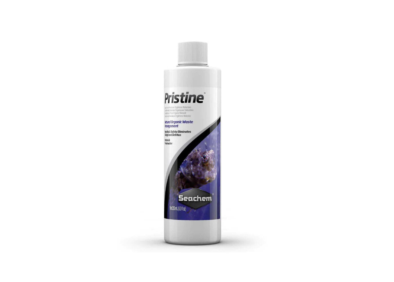 Seachem Pristine white bottle with dark purple branding that reads "Pristine Seachem"