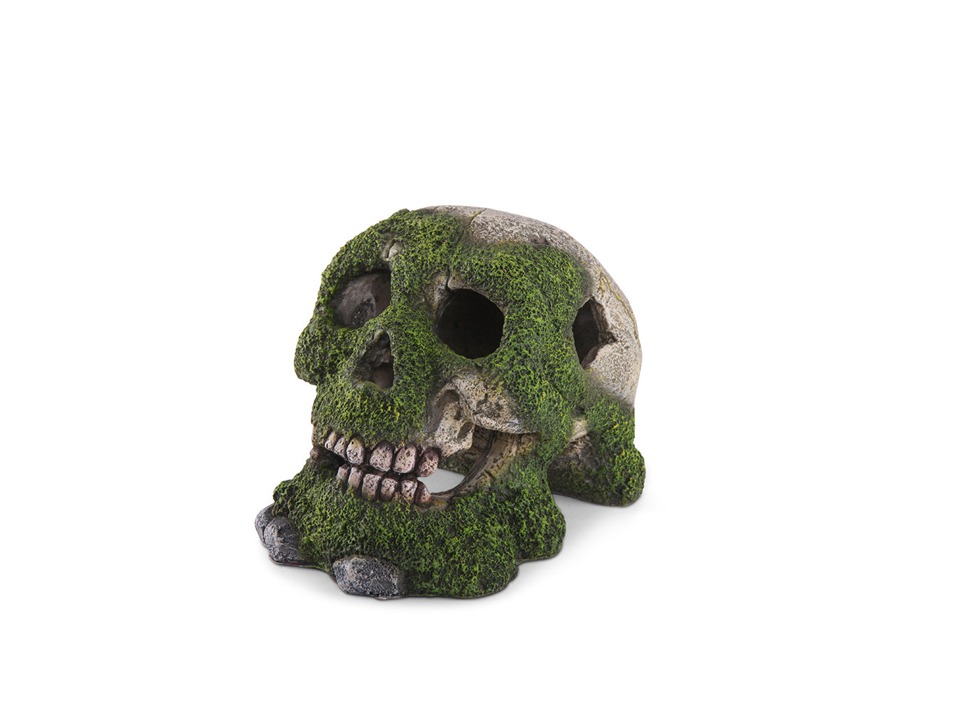 Kazoo Skull With Moss and Air