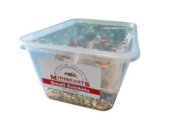 Minibeasts Bucket of Bugs - Live Crickets only (no bucket)