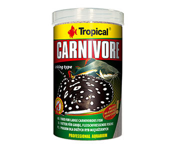Tropical Carnivore